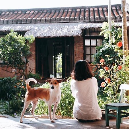 Mali Home Hoi An Eksteriør billede
